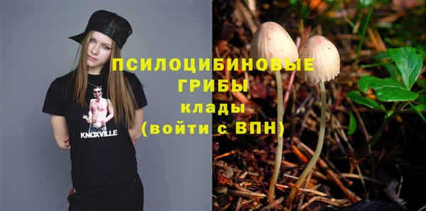 эйфоретик Абаза