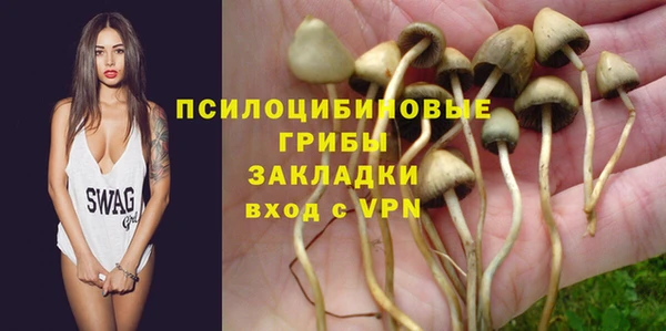наркотики Алексин