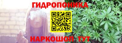 гашик Новозыбков