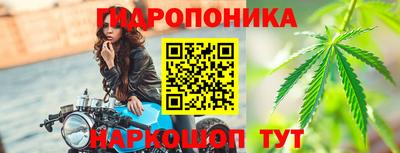 гашик Новозыбков