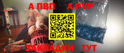 гашик Новозыбков