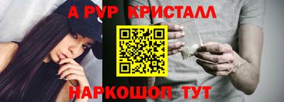 гашик Новозыбков