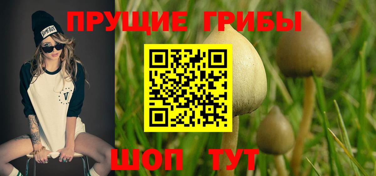 Галлюциногенные грибы Psilocybine cubensis  Вход с VPN  Уварово 